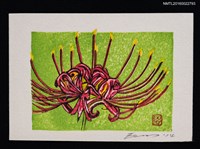 主要名稱：藏書票—ヒガンバナ（石蒜）圖檔，第1張，共1張