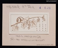 主要名稱：藏書票—蝸牛與葡萄藤圖檔，第1張，共1張