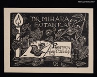 主要名稱：藏書票—植物の王囯圖檔，第1張，共1張