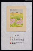 主要名稱：2015年6月藏書票曆—樽前山とイワブクロ圖檔，第1張，共2張