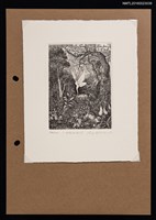 主要名稱：藏書票—White Veil（白色面紗）圖檔，第1張，共1張