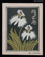 主要名稱：藏書票—蘭シリーズ • 2／鷺草圖檔，第1張，共1張