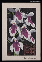 主要名稱：藏書票—蘭 シリーズ • 5／羽蝶蘭圖檔，第1張，共1張