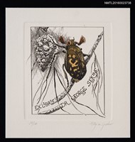 主要名稱：藏書票—鍬形蟲與蜂窩圖檔，第1張，共1張