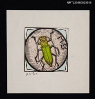 主要名稱：藏書票—螢火蟲圖檔，第1張，共1張