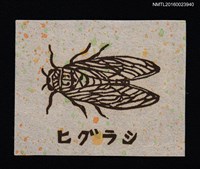 主要名稱：藏書票—ヒグラシ （寒蟬）圖檔，第1張，共1張