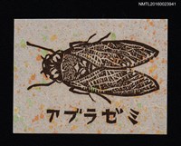主要名稱：藏書票—アブラゼミ（大棕蟬） 圖檔，第1張，共1張