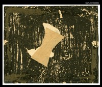 主要名稱：張福英和丈夫林景仁攝於他們的第一棟房子圖檔，第2張，共2張