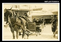 主要名稱：林爾嘉與張福英於歐洲馬車上合影圖檔，第1張，共2張