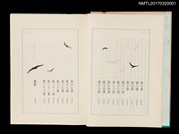 主要名稱：望春風圖檔，第4張，共5張