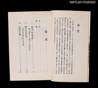主要名稱：永州文集––風雨中的長青樹圖檔，第2張，共4張