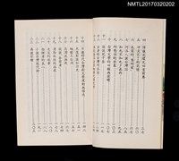 主要名稱：永州文集––風雨中的長青樹圖檔，第3張，共4張