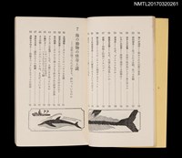 主要名稱：続．自然界99の謎––昆虫．動物．海洋生物への招待圖檔，第6張，共9張
