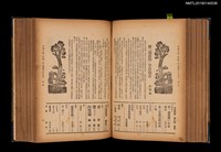 期刊名稱：中國文學1卷1期 創刊號~1卷11期11號合訂本圖檔，第18張，共32張