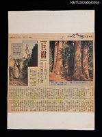 主要標題：巨樹––地球上最長壽的生物/報紙名稱：兒童日報圖檔，第1張，共2張