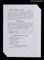 主要名稱：瘦馬八十歲自述童年、少年往事（打字稿）圖檔，第1張，共1張