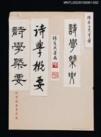 主要名稱：張定成墨蹟《詩學概要》圖檔，第1張，共1張
