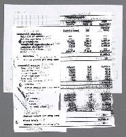 主要名稱：美國國務院臺灣檔案（三）（1945~1949） 圖檔，第370張，共962張