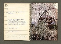 主要名稱：京都．奈良特集1970年年曆筆記本圖檔，第16張，共69張