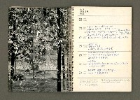 主要名稱：京都．奈良特集1970年年曆筆記本圖檔，第17張，共69張