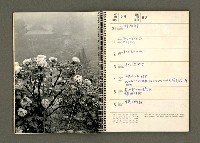 主要名稱：京都．奈良特集1970年年曆筆記本圖檔，第27張，共69張