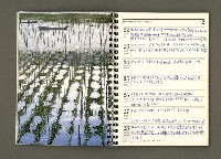 主要名稱：JAPAN1982年曆筆記本圖檔，第15張，共64張