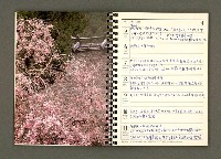 主要名稱：JAPAN1982年曆筆記本圖檔，第21張，共64張