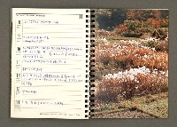 主要名稱：JAPAN1982年曆筆記本圖檔，第53張，共64張