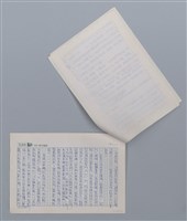 主要名稱：蒼蠅 林建隆/劃一題名：笠下的一群；笠詩人作品選讀圖檔，第3張，共5張