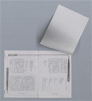 主要名稱：鐵窗的吶喊/劃一題名：台灣新詩筆記圖檔，第11張，共12張