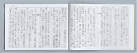 主要名稱：大動亂中小玩童（影本）圖檔，第16張，共89張