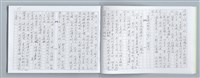 主要名稱：大動亂中小玩童（影本）圖檔，第17張，共89張