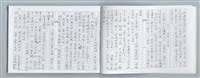 主要名稱：大動亂中小玩童（影本）圖檔，第18張，共89張