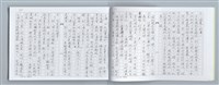 主要名稱：大動亂中小玩童（影本）圖檔，第22張，共89張