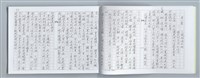 主要名稱：大動亂中小玩童（影本）圖檔，第25張，共89張
