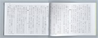 主要名稱：大動亂中小玩童（影本）圖檔，第29張，共89張