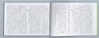 主要名稱：大動亂中小玩童（影本）圖檔，第30張，共89張