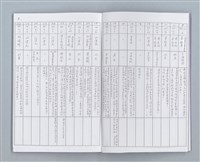 主要名稱：詩詞與政治（提要）圖檔，第4張，共16張