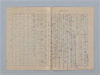 主要名稱：絲瓜の種圖檔，第2張，共2張
