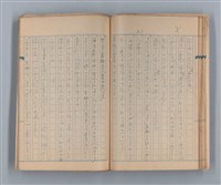 主要名稱：美根子圖檔，第24張，共44張