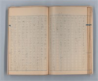 主要名稱：美根子圖檔，第30張，共44張