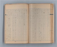 主要名稱：美根子圖檔，第31張，共44張