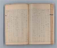 主要名稱：美根子圖檔，第37張，共44張