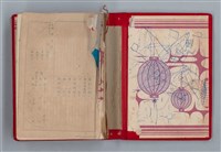 主要名稱：黛綠年華 DIARY （育兒紀錄）圖檔，第2張，共197張