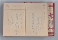 主要名稱：黛綠年華 DIARY （育兒紀錄）圖檔，第12張，共197張