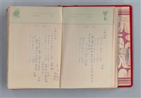 主要名稱：黛綠年華 DIARY （育兒紀錄）圖檔，第18張，共197張
