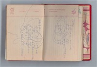 主要名稱：黛綠年華 DIARY （育兒紀錄）圖檔，第29張，共197張
