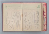 主要名稱：黛綠年華 DIARY （育兒紀錄）圖檔，第135張，共197張