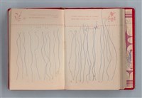 主要名稱：黛綠年華 DIARY （育兒紀錄）圖檔，第136張，共197張
