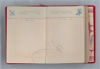 主要名稱：黛綠年華 DIARY （育兒紀錄）圖檔，第184張，共197張
